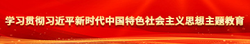 清朝妓女求草视頻导航网站学习贯彻习近平新时代中国特色社会主义思想主题教育
